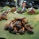 Illustration for article titled Should you really start eating insects?